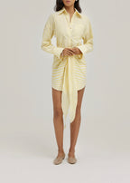 Jackie Stripe Tie Waist Shirt Dress | Lemon/White