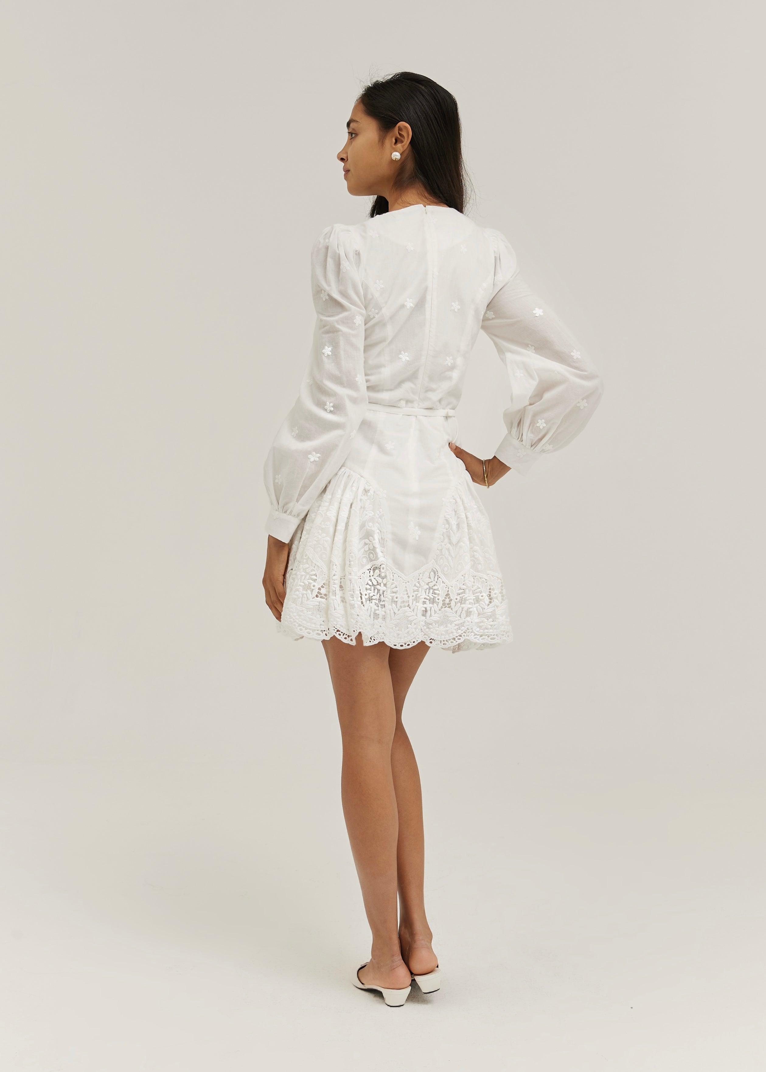Sophia Cotton & Embroidered Day Dress