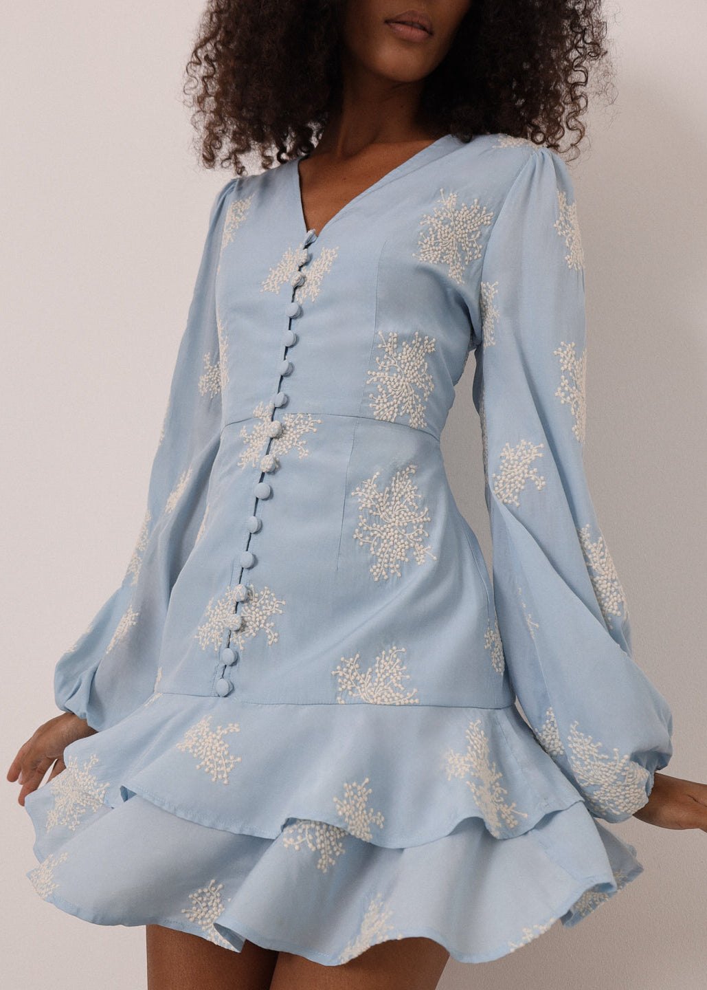 Mia Embroidered Frill Day Dress | Blue